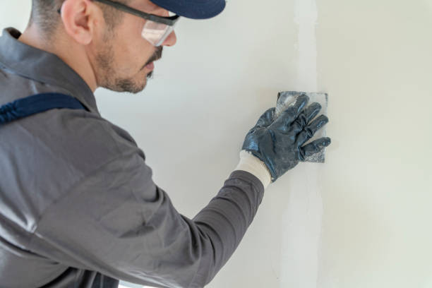 Best Dehumidification Services  in Hodgkins, IL