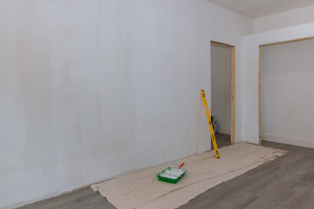 Best Residential Mold Inspection & Testing  in Hodgkins, IL