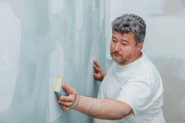 Best Industrial Mold Remediation  in Hodgkins, IL