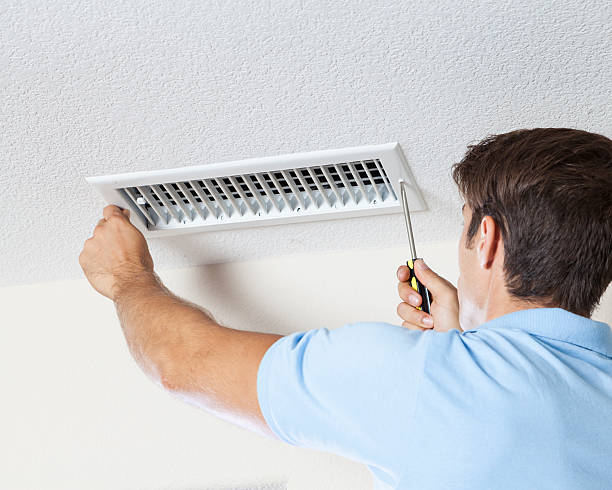 Best Mold Documentation for Insurance Claims  in Hodgkins, IL
