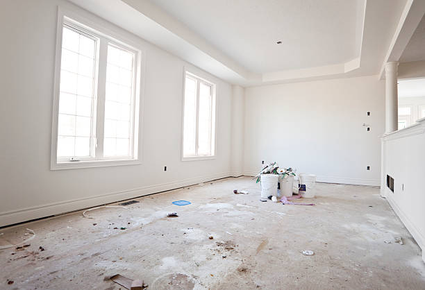 Professional Mold Removal in Hodgkins, IL