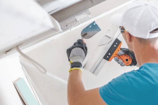 Environmental Consulting for Mold Prevention in Hodgkins, IL